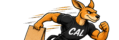 cropped cal 4.png
